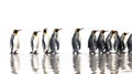 King penguins isolated on white background. Generative Ai Royalty Free Stock Photo