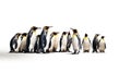 King penguins isolated on white background. Generative Ai Royalty Free Stock Photo