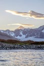 King Penguins and a lenticular cloud at South Georgia