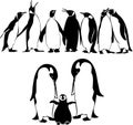 King penguins silhouette illustration set