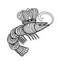 King prawn in hand drawn doodle style isolated on white background.Vector illustration one line.Coloring book for adult and kids