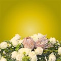 King Protea flower arrangement print poster on yellow background Royalty Free Stock Photo