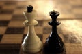 King and queen chess figures on chessboard. White king and black queen. Competition and strategy concept. Royalty Free Stock Photo