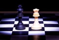 King and Queen pieces of chess game Royalty Free Stock Photo