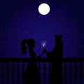 Fairytale silhouettes of king and queen lightting sparklers on starry night background