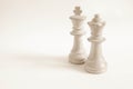 King and Queen from white set (chess) Royalty Free Stock Photo