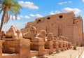 The King s Festivities Road or Avenue of Sphinxes, ram-headed statues of Karnak Temple, Luxor, Egypt Royalty Free Stock Photo