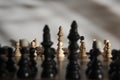 The king's guard-chess Royalty Free Stock Photo