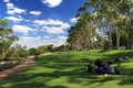 King's Park in Perth, Western Australia Royalty Free Stock Photo