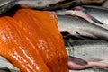 King salmon Royalty Free Stock Photo