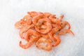 King shrimps Royalty Free Stock Photo