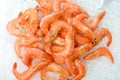 King shrimps Royalty Free Stock Photo