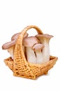 King trumpet. Fresh mushrooms in a basket.