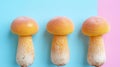 King trumpet mushroom pleurotus eryngii on soft delicate pastel colored background