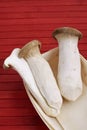 King trumpet mushrooms in wooden punnet