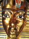 King tut surcophigus