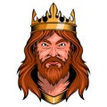 King. Vector illustration of a warrior king. A strong, brave king with a crown on his head Royalty Free Stock Photo