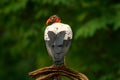 King vulture, Sarcoramphus papa, large bird found in Central and South America. Flying bird, forest in the background. Wildlife sc Royalty Free Stock Photo