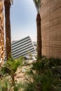 Kingdom of Saudi Arabia Expo 2020 Pavilion looking through palm trees and buildings