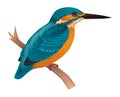 Kingfisher