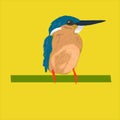 Kingfisher Asian Brid Vector Design.