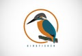 Kingfisher bird in a circle. Kingfisher bird logo design template vector Royalty Free Stock Photo