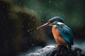 Kingfisher bird closeup waterfall on background