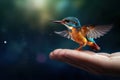 Kingfisher bird feeding on a hand with Ai Generated Royalty Free Stock Photo