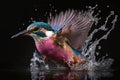 A Kingfisher Flying out of Water