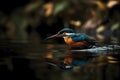 Kingfisher on the riverbank, glorious colors