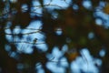 Kingfisher sitting on a branch near the lake. waiting for hunt Alcedinidae colourfully wild bird Royalty Free Stock Photo