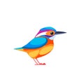 Kingfishers or Alcedinidae are a family, brightly colored birds in the order Coraciiformes. Bird cartoon flat beautiful Royalty Free Stock Photo
