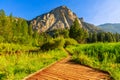 Kings Canyon Meadows of Zumwalt Royalty Free Stock Photo