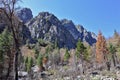 Kings Canyon National Park at Avalanche Canyon in the Sierra Nevada, California Royalty Free Stock Photo