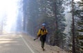 Firefighter Fighting Wildfires