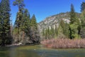 Kings Canyon National Park with Roaring River near Bailey Bridge, Sierra Nevada, California Royalty Free Stock Photo