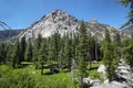 Kings Canyon National Park Royalty Free Stock Photo