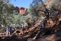 Kings Canyon in the Northern Territory Australia