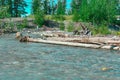 Kings River in Alaska by Sutton Royalty Free Stock Photo