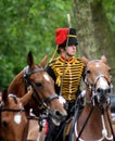 Kings Troop Royal Horse Artillery