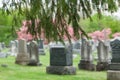 Kingston Cemetery Royalty Free Stock Photo