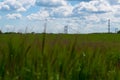 The Humber Bridge in the background with green fields in the fore ground slightly Royalty Free Stock Photo