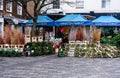 Market Trader Outdoor Stall Selling Fresh Christmas Trees