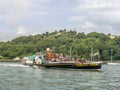 Kingswear Castle Paddle Steamer River Dart, Devon.