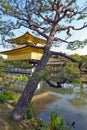 Kinkaku-ji or the Golden Pavilion located at Rokuon-ji temple in Kyoto, Japan