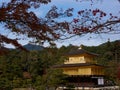 Kinkaku-ji Temple