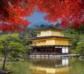 Kinkaku-ji Temple, the golden pavilion, a Zen buddhist temple in Royalty Free Stock Photo