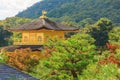 Kinkakuji temple with Autumn Japanese garden and maple tree in at Kyoto, Japan Royalty Free Stock Photo