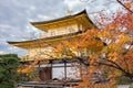 Kinkakuji Temple in autumn season, the Golden Pavilion in Kyoto, Japan Royalty Free Stock Photo