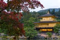 The Kinkakuji temple The Golden Pavilion in autumn with red ma Royalty Free Stock Photo